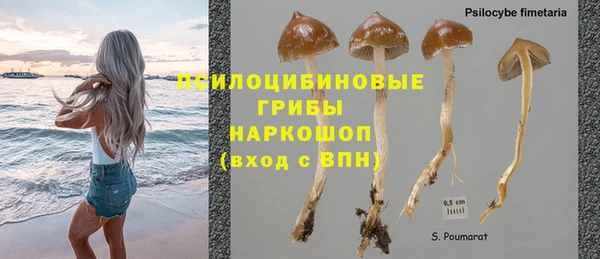 эйфоретик Новокубанск