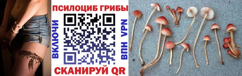 Псилоцибиновые грибы мухоморы  блэк спрут вход  Александровск-Сахалинский 
